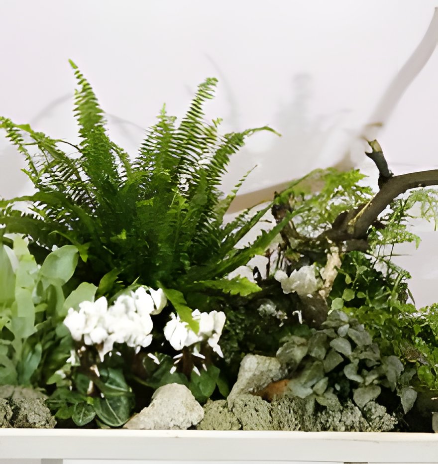 Kompozycja doniczkowa